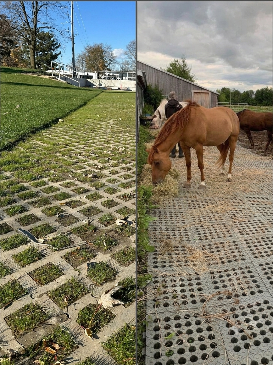 Split-view of grass pavers and horse paddock grid installation.